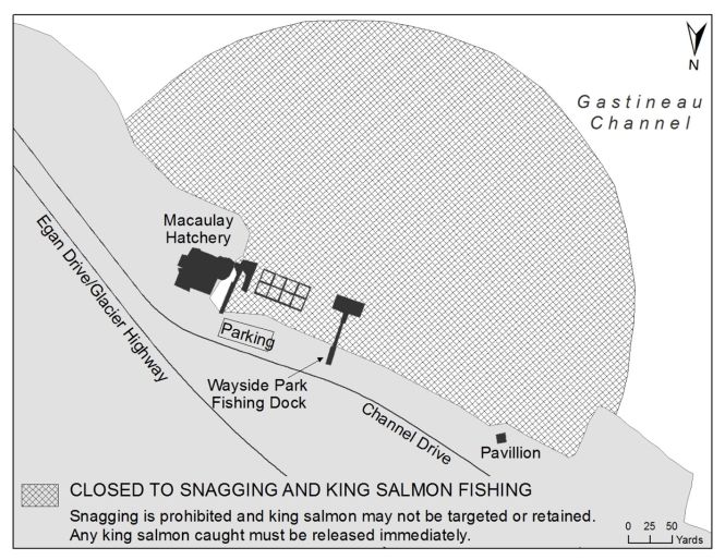 Macaulay Hatchery Area Closed to King Salmon Fishing